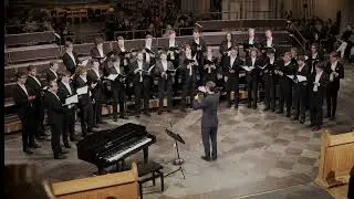 07. Sönerna