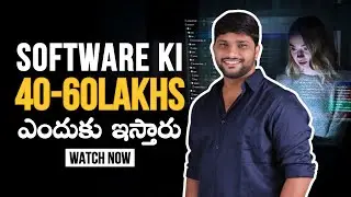 What Is Software Engineering / Developer  | Why They Get 40-60 Laks Package ?