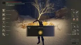 ELDEN RING&trade;_ancient snow Valley ruins golden seed location