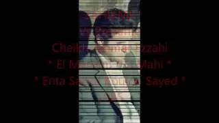 الشيخ عمر الزاهي 