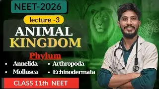NEET -2026 RIVISION SERIES | 11th Biology | ANIMAL KINGDOM | NEET PYQ's & TRICKS #kingdomanimalia 