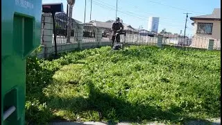 The Most Challenging Lawns Dont Stand A Chance (2)