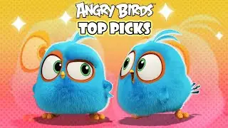 Angry Birds Top Favorite Picks 🍧