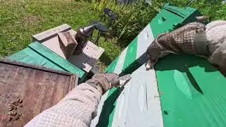 5/3-5/5/25 Working Brandon and my beehives
