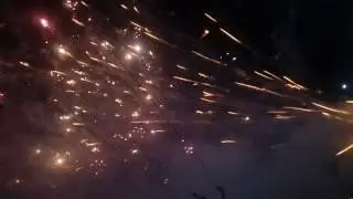 Exllent banasancha