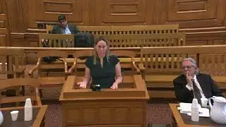 Oral Arguments, December 9, 2024, Henry, Desmond, Englander, JJ., presiding