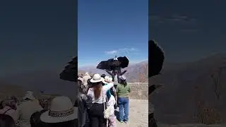 UMA AVENTURA NA AM&Eacute;RICA DO SUL - Mirante do Condor - Canyon del Colca - Peru -13/10/25 - 12:00 hr