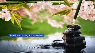 Peaceful Bamboo Fountain 🌿 Natural Garden Water Sounds for Deep Sleep & Stress Relief