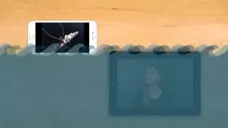 selFISH Teaser Trailer