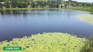 Reke i jezera - Petničko jezero