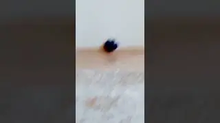 ааа мухааа!