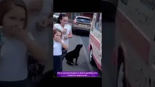 Voyez Loulou attendre sa glace&hellip; un moment qui r&eacute;chauffe le c&oelig;ur 🐶🍦💛 | #shorts #loulou