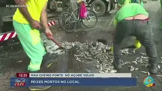 Cidade em Ação -  Peixes mortos e mau cheiro assustam moradores do Açude Velho