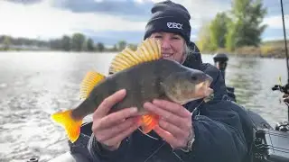 Zo vis je effectief met Blade Baits &ndash;Patriot Blades Roofvis Tutorial! 