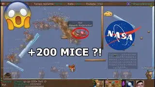 Soufakedenub Firsts/Fails +200/-100 Mices - Transformice [NASA]