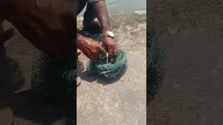 CAUGHT CATFISH! in marve beach mumbai 😍🪝🪝🪝🪝🐟🐟🐟