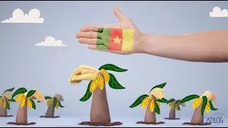 Together for a better world: el bosque Cadlog para un mundo mejor