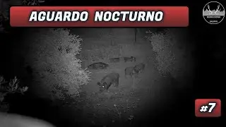 AGUARDO NOCTURNO #7 | JAVIER CASTRO