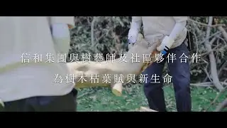 Sino Group Partners with Arborists and Community Partners on Recycling and Upcycling Felled Trees