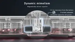 A more flexible 6-channel micro bioreactor for process exploration and scientific research