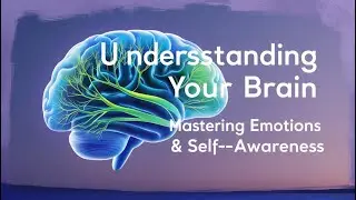 Understanding Emotion Regulation - Our Brain & Our Emotions