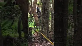 Sometimes the jump are so smooth at the first attempt #mtb  #cyclepilots #enduro #nagarjun #sram