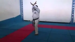 Kata 5 - Pinan Godan