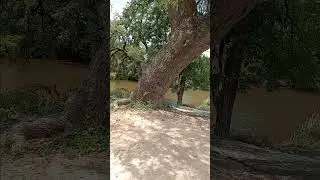#squirrelmaster