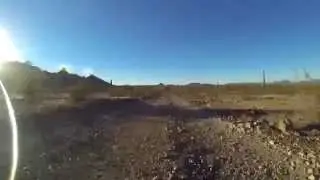 Saddle Mountain Trail (Full Loop)