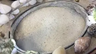 SandClock Sand Vibration Moves