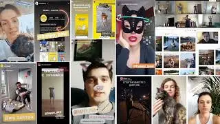 Кейс благодійної акції &ldquo;Гуру Карантину&rdquo; для Happy Paw