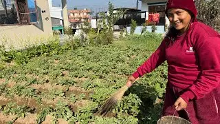 Mehenat gare j pani sambhav x #sangeelamavlog 