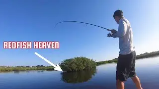 One of the BEST FISHING SPOTS in the BANANA RIVER #redfish #fishing #amazing #fish #florida  #video