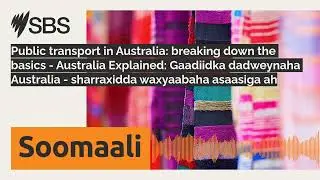 Public transport in Australia: breaking down the basics - Australia Explained: Gaadiidka...
