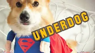 UNDERDOG BUT WE WIN // RANK GAME