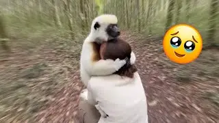 Animals Find Each Other Again&hellip; Pure Emotion Caught on Camera