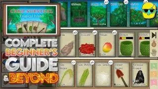 Card Survival: Tropical Island | Episode 1 | 2025 Guide for Complete Beginners