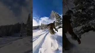 Fun Snowboard Powder Lines #snowboarding #shorts