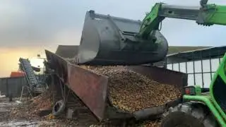 Saison des pommes