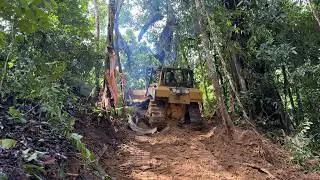 Cat D6r XL bulldozer conquers a mountain full of struggle