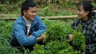 A day of gardening filled with laughter right on Thang and Nhi's land.