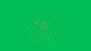 Gold Confetti Exploded Animation on Green Screen, Animation, Confetti Rain