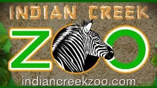 INDIAN CREEK ZOO - LAMBERTVILLE, MICHIGAN