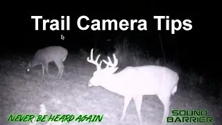 Trail Camera Tips