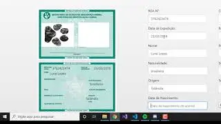Starbarks - Cl&iacute;nica veterin&aacute;ria
