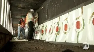 Переустановка Masstransiscope