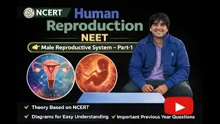 Human Reproduction | NEET
