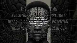 The human brain is capable of remarkable feats of perception and cognition  #brain #science #neuro #