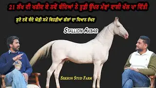 Stallion Akbar 21 ਲੱਖ ਦੀ ਘੋੜੀ ਖਰੀਦ ਕੇ ਨਵੇਂ ਬੰਦਿਆਂ ਨੇ ਤੁੜੀ ਉੱਪਰ ਮੱਝਾਂ ਵਾਲੀ ਖੱਲ ਪਾ ਦਿੱਤੀ #beanttulewal