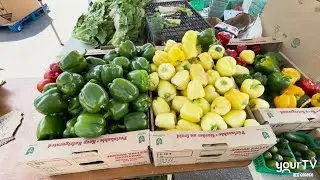 Burlington Centre Farmer's Market 2025